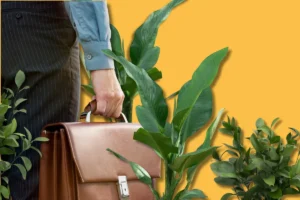 une homme portant une malette de travail traversant des plantes pour illustrer les métiers verts à Dieppe