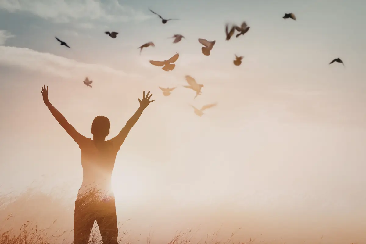 une personne de dos qui lève les bras en l'air avec un vol d'oiseaux en fond pour illustrer la libération que lui a procuré un bilan de compétences à Challans