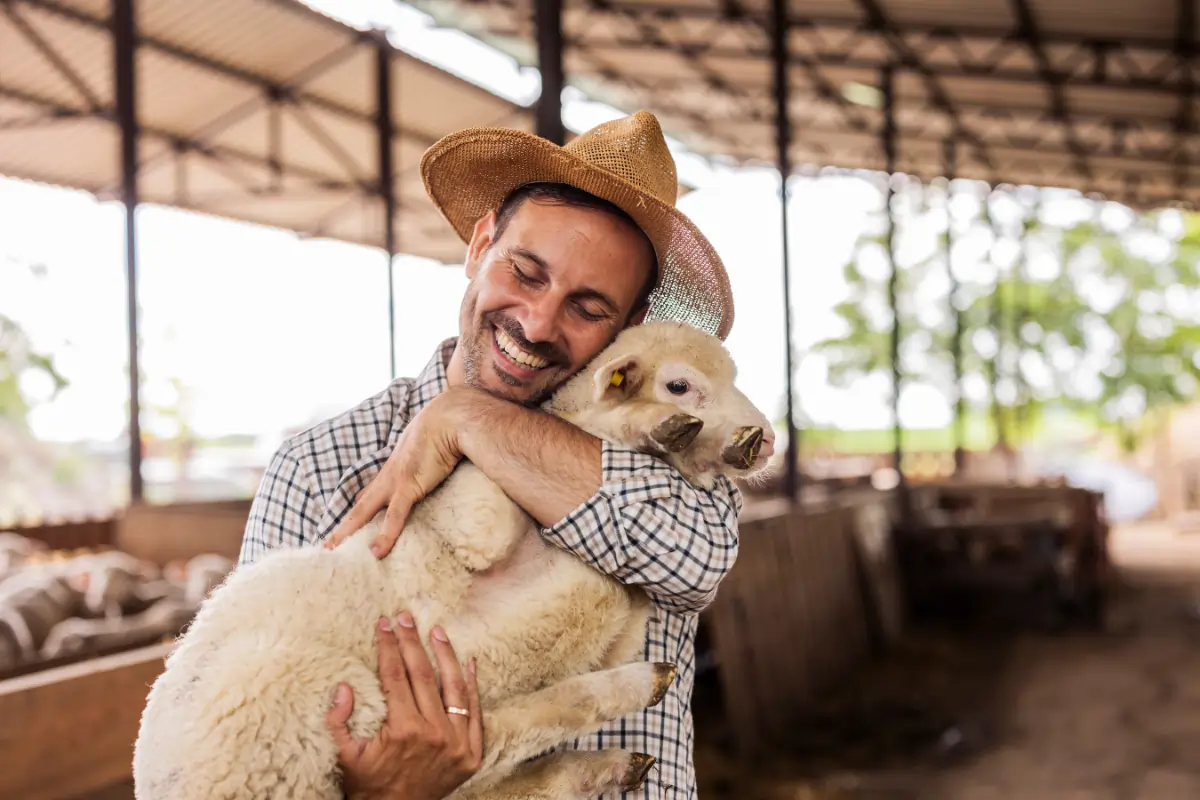 un éleveur de Challans avec son agneau dans les bras